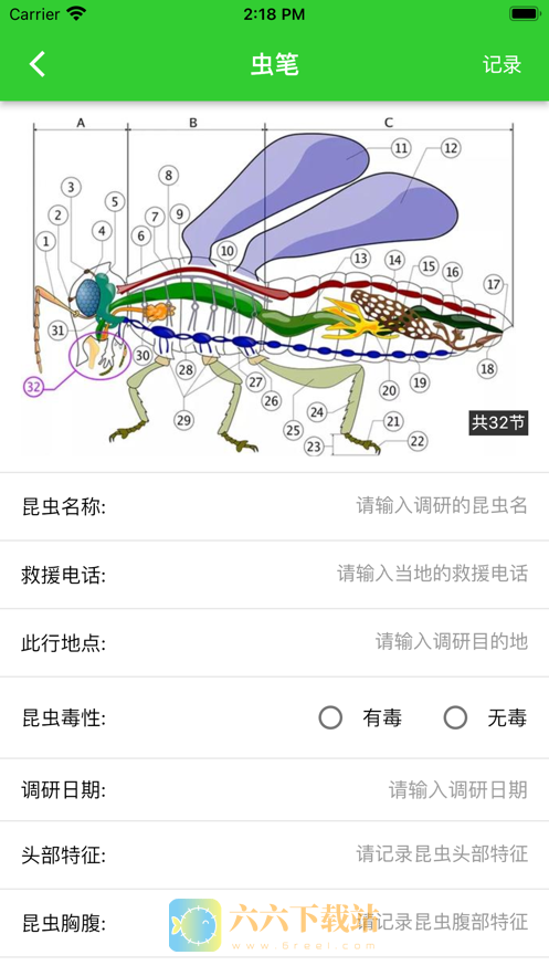 虫笔正版下载安装