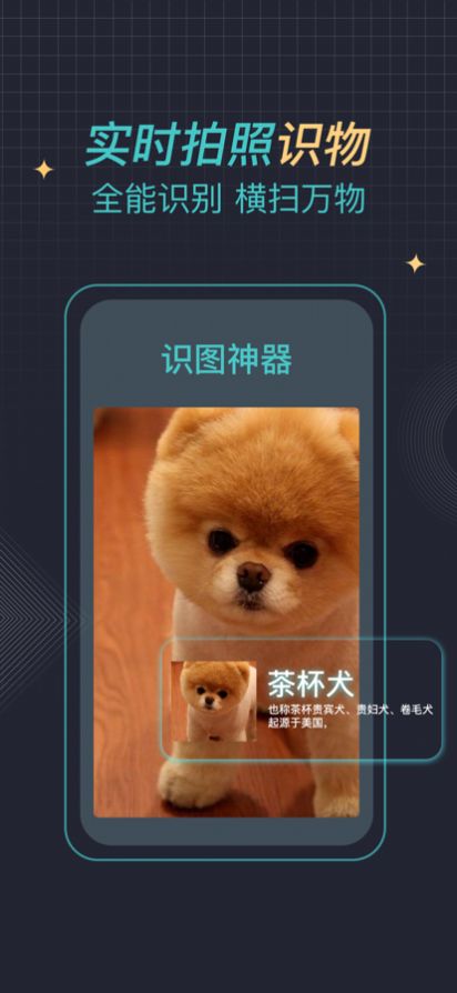 识图神器正版下载安装