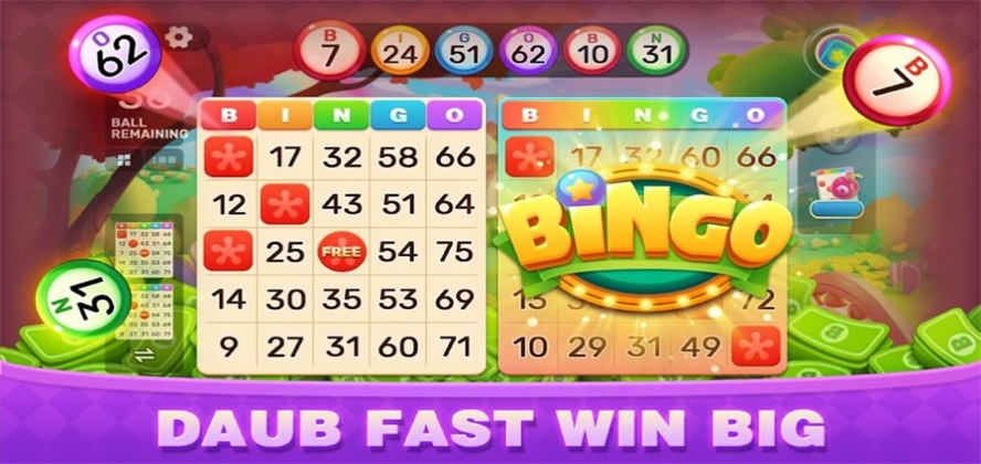 Bingo Party正版下载安装