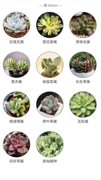 植物君正版下载安装