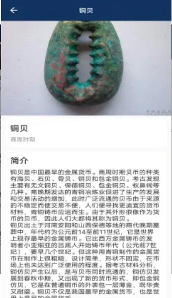 币宝藏正版下载安装