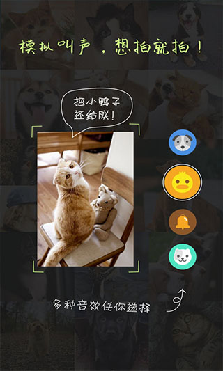萌宠相机正版下载安装