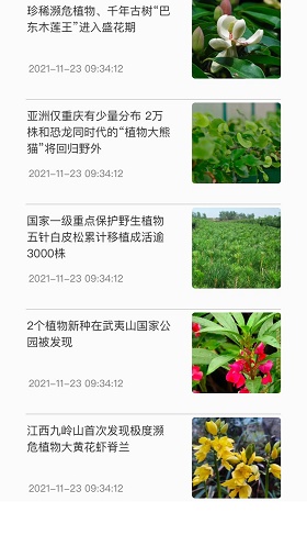 神农百草集正版下载安装