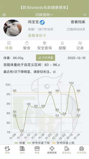 致鸟forbirds正版下载安装