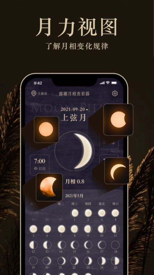 MOONPro正版下载安装