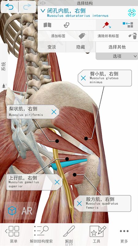 3D人体解剖正版下载安装