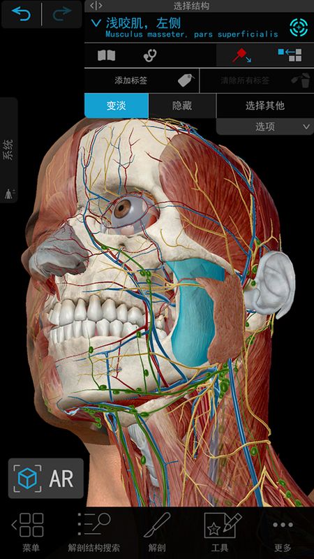 3D人体解剖正版下载安装