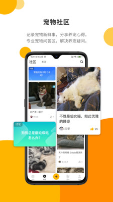 PawLab正版下载安装