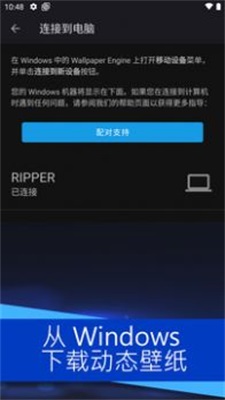 麻匪壁纸app正版下载安装