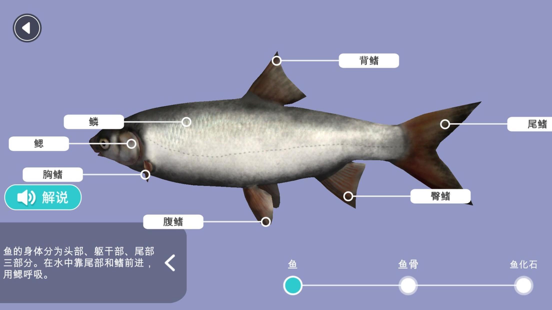 小学科学XR教室正版下载安装