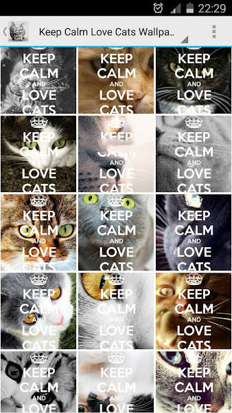 Keep Calm Love Cats Wallpapers正版下载安装